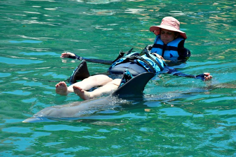 Dolphin Assisted Therapy, in Riviera Maya Mexico